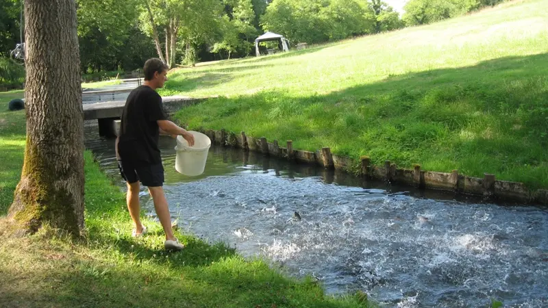 Visite pisciculture moulin de boissonnie Douzillac