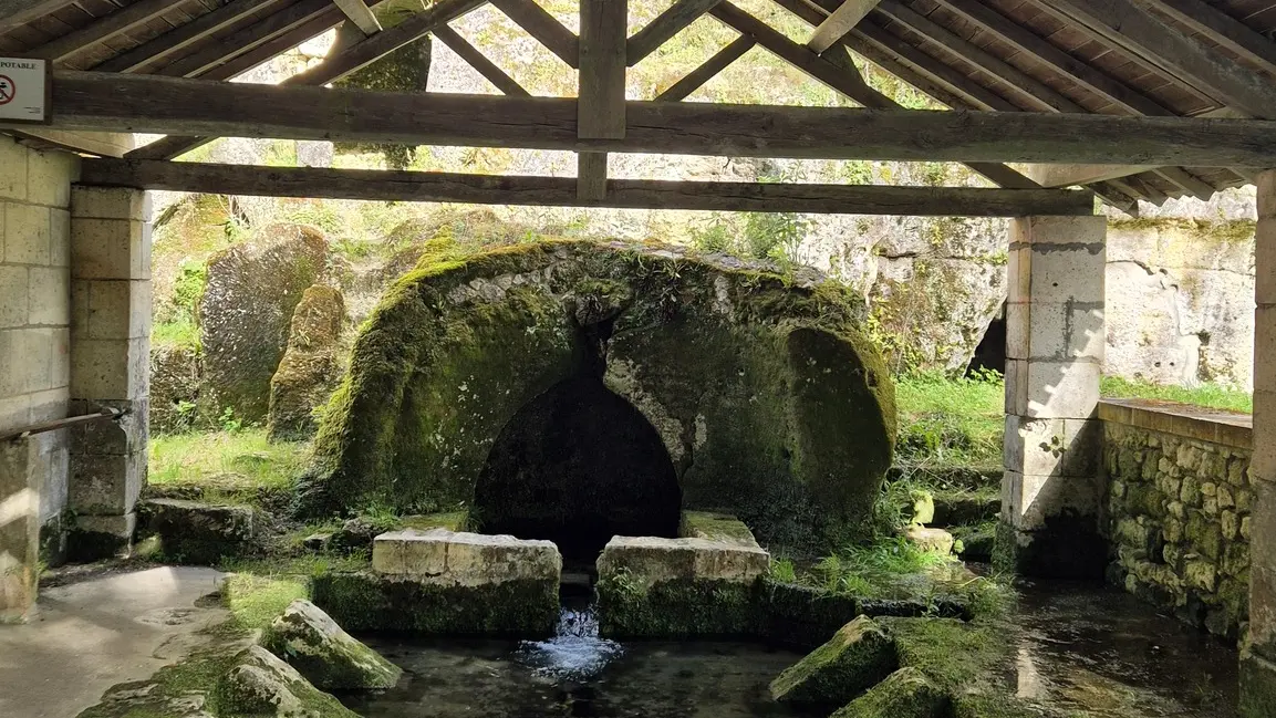 488642101_1497810974882394_6978098062943801894_n