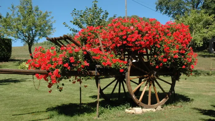 La Ferme du Brusquand