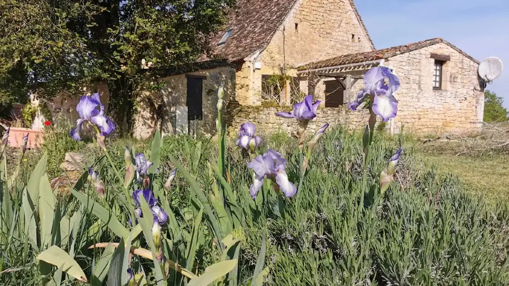 Gîte Le Cantou