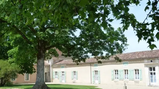 Chaulnes-Bergeronnettes-cour-arbre