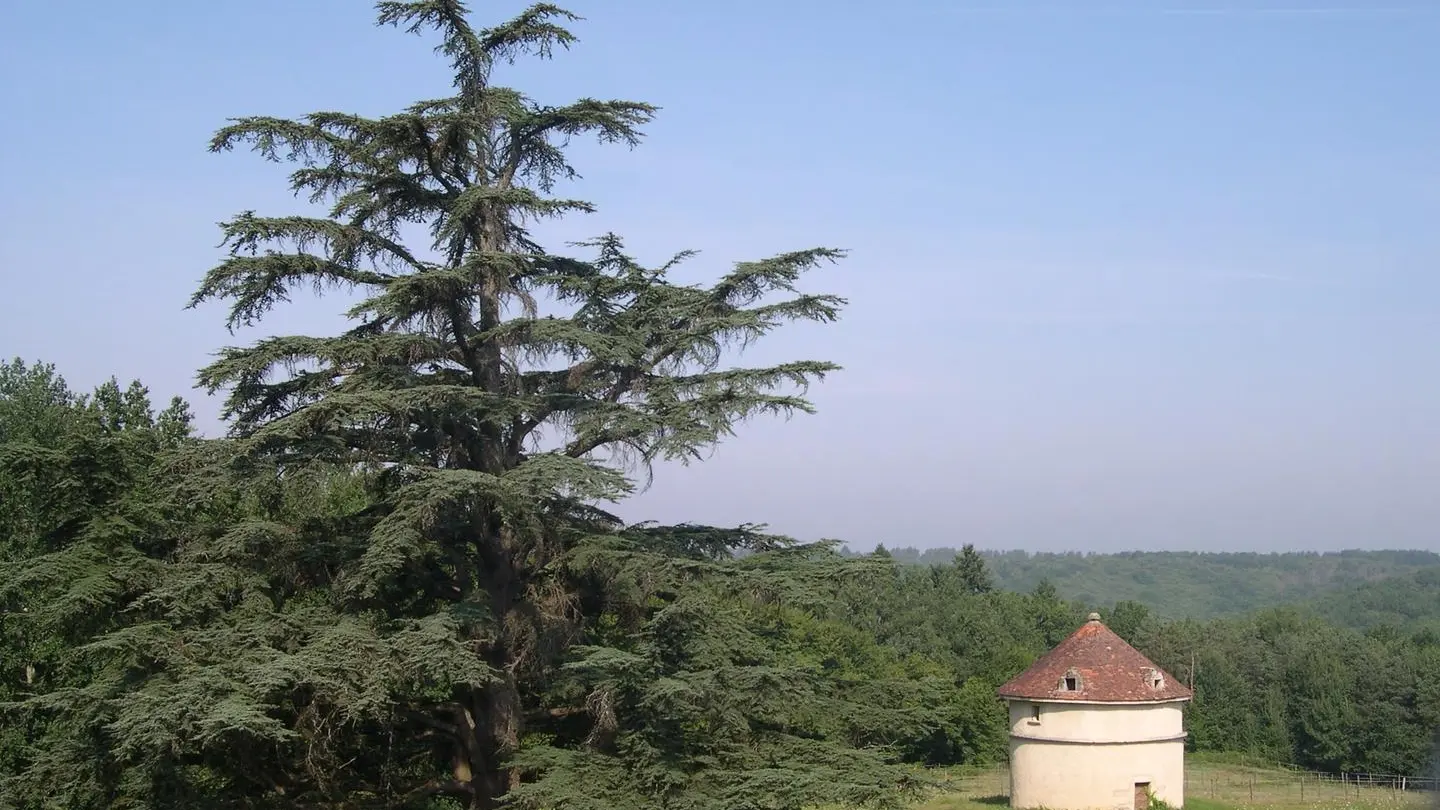 Château de Borie-Petit