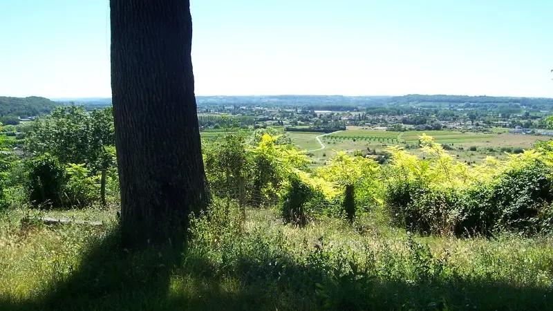 Château Laroque