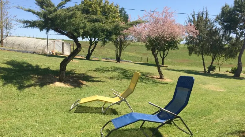 040043 - Lapervoisie1_gite 4 pers_avec_piscine_a_partager_proche sarlat 15)