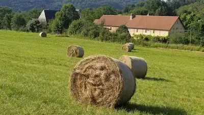 Gîte Parenthèse verte extérieur