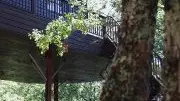 1-Bienvenue-a-la-Cabane-du-Rouge-Gorge
