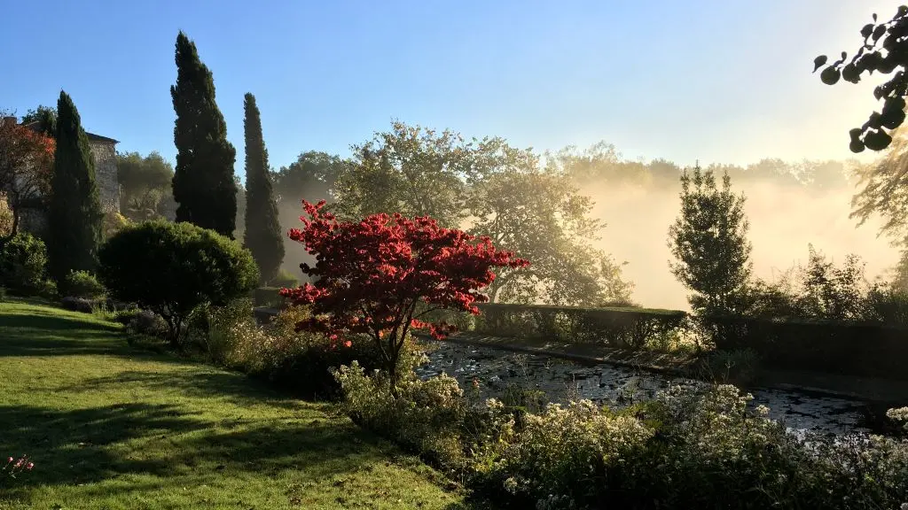 10 - cornus florida rainbow le long du bassin