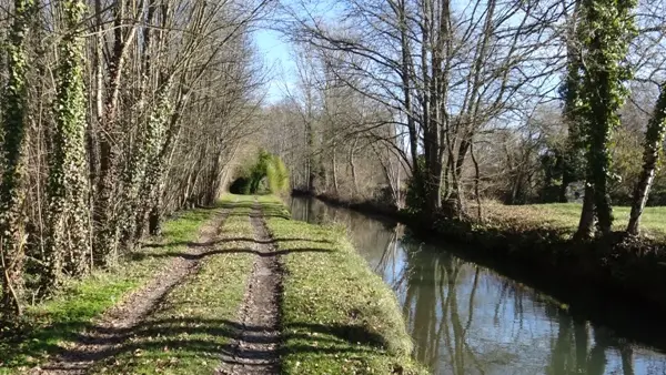 le chemin face à la maison menant au pigeonnier