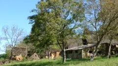 12 hameau toit de lauze