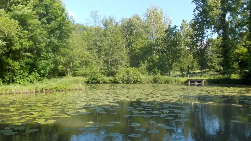 petit étang à côté du pigeonnier