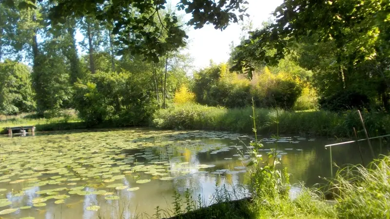 petit étang à côté du pigeonnier