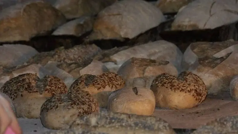 Le Pain d'antan - Paysan Boulanger