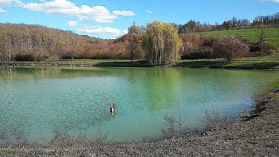 Gîte Périgourdin_Odile COUDERC