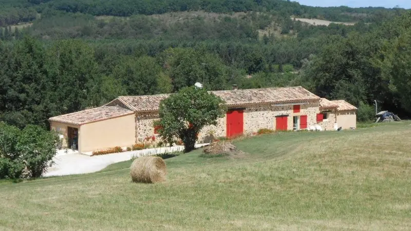 Chez Jiji