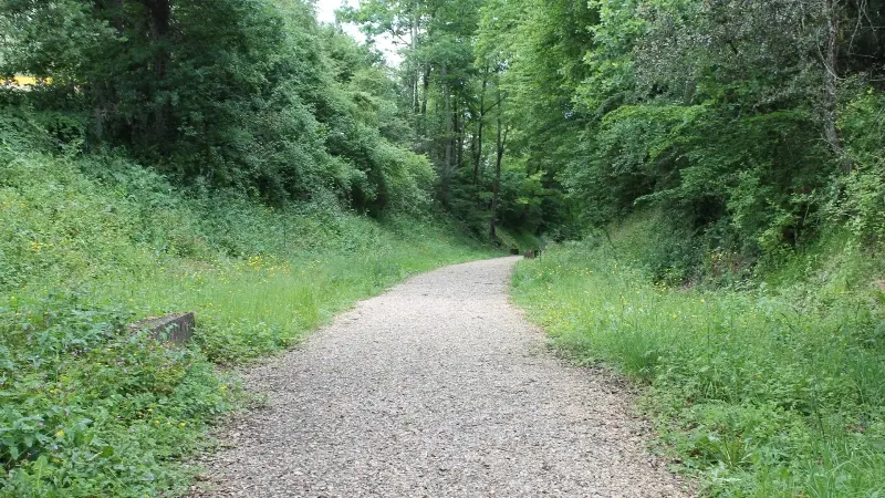 voie_ferree_salamandre