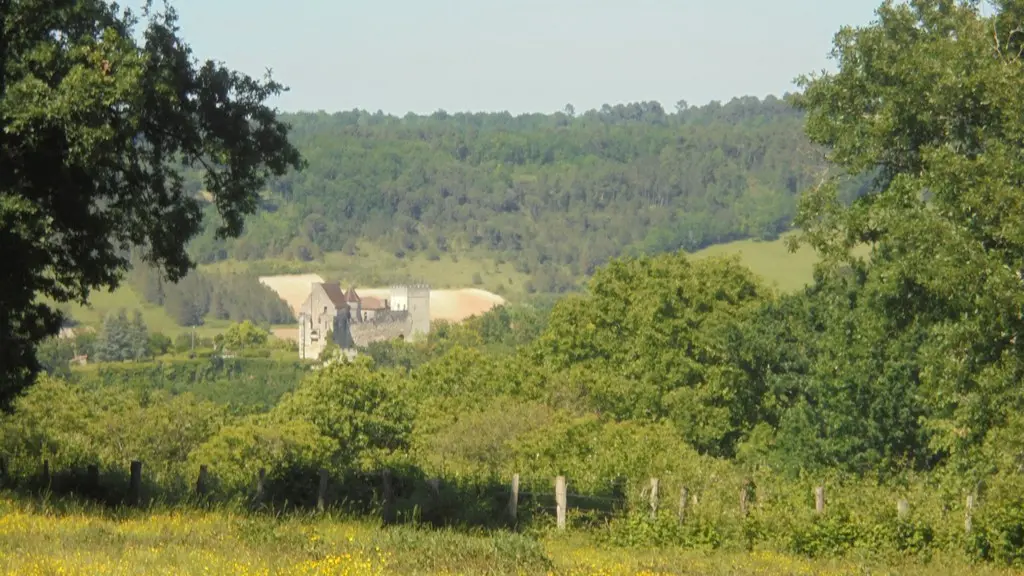 vue château Grignols