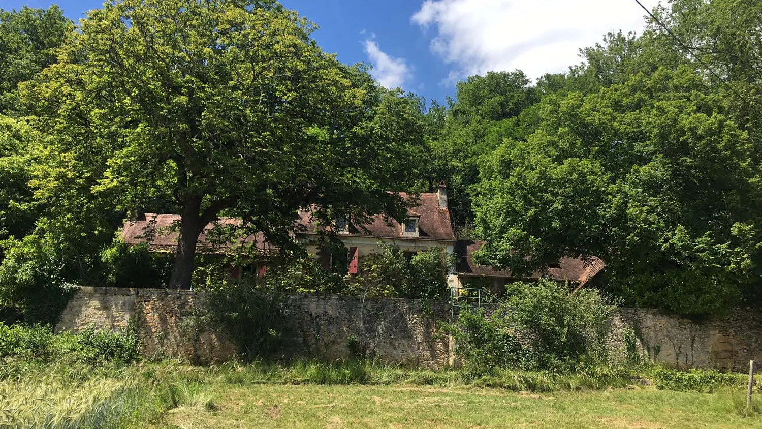 vue du jardin