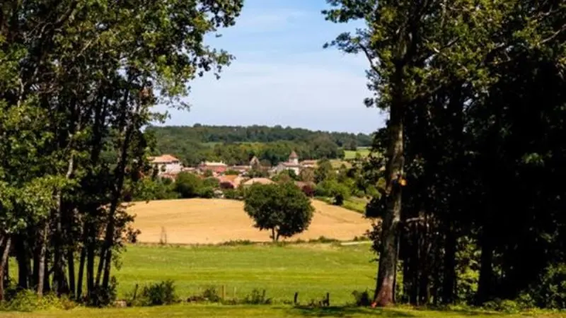 vue panoramique