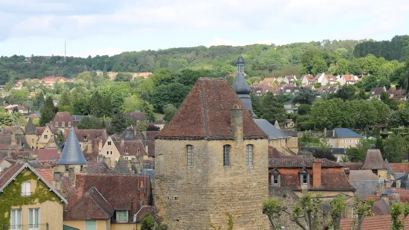 vue_pignol_salamandre