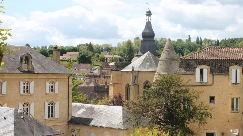 vue_plantier_salamandre