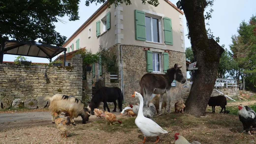 la-ferme-des-vergnes