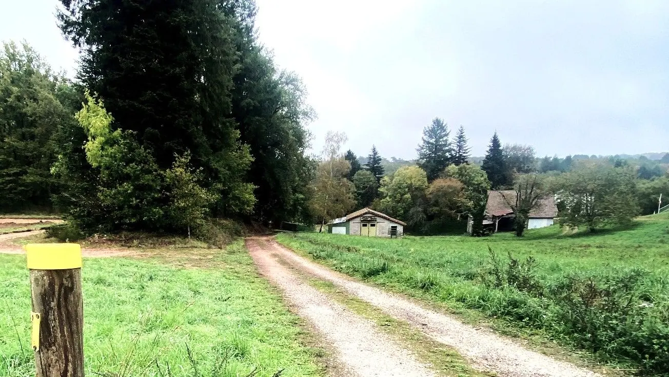 ABJAT-SUR-BANDIAT-Boucle du Renard-Chemin