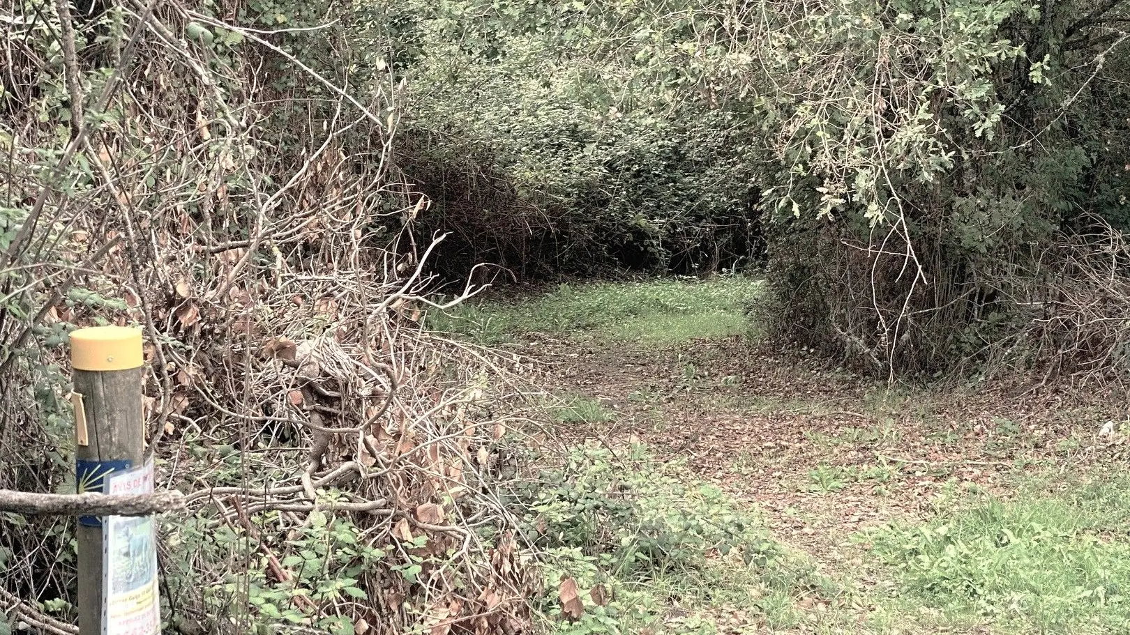 ALLAS-LES-MINES-Boucle de Port d'Envaux-Chemin-Poteau