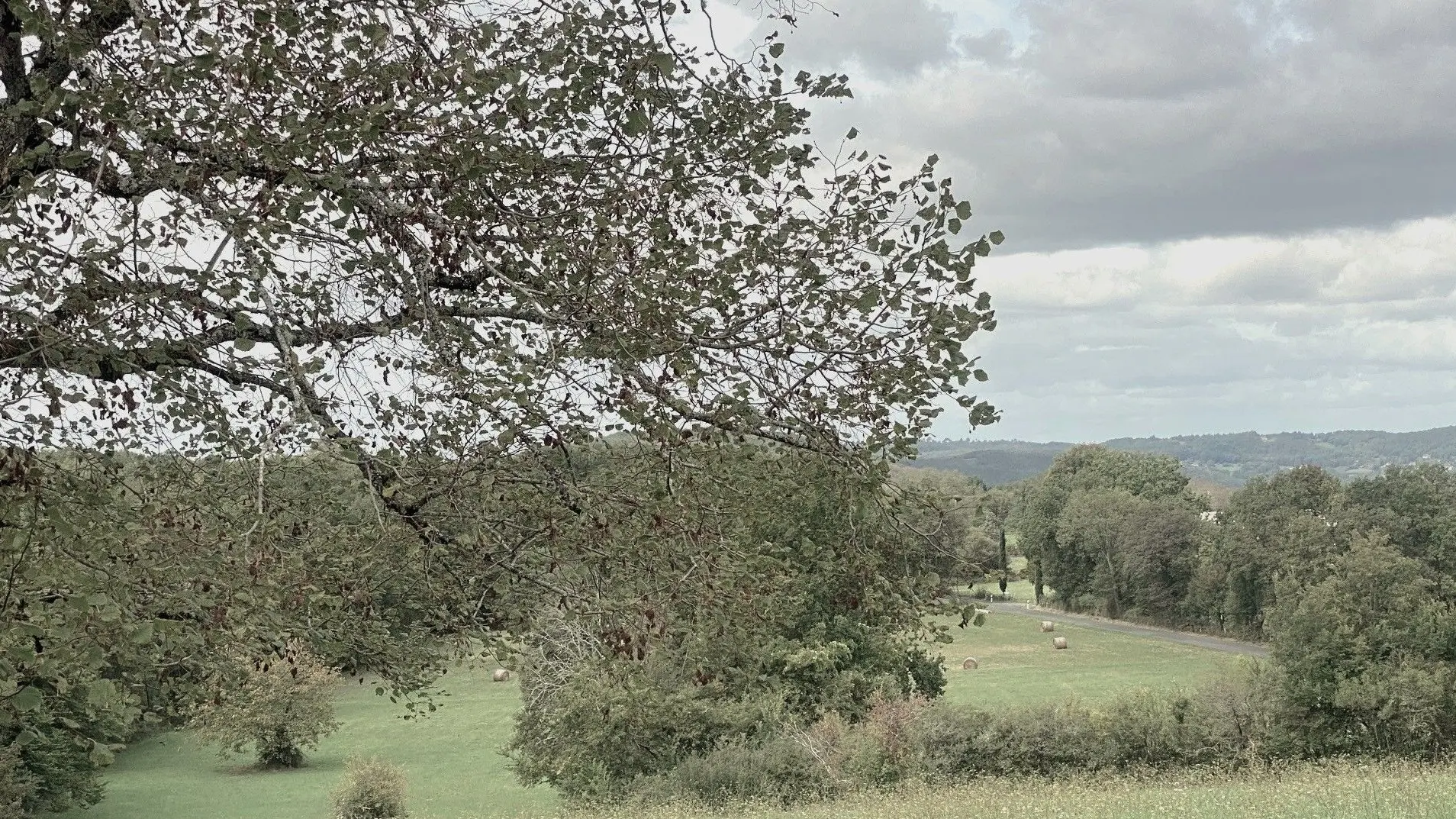 ALLAS-LES-MINES-Boucle de Port d'Envaux-Paysage