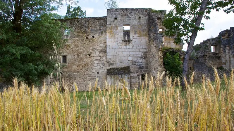 Abbaye de Boschaud_5