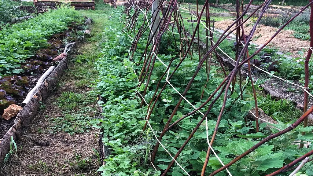 Ferme l'apogée