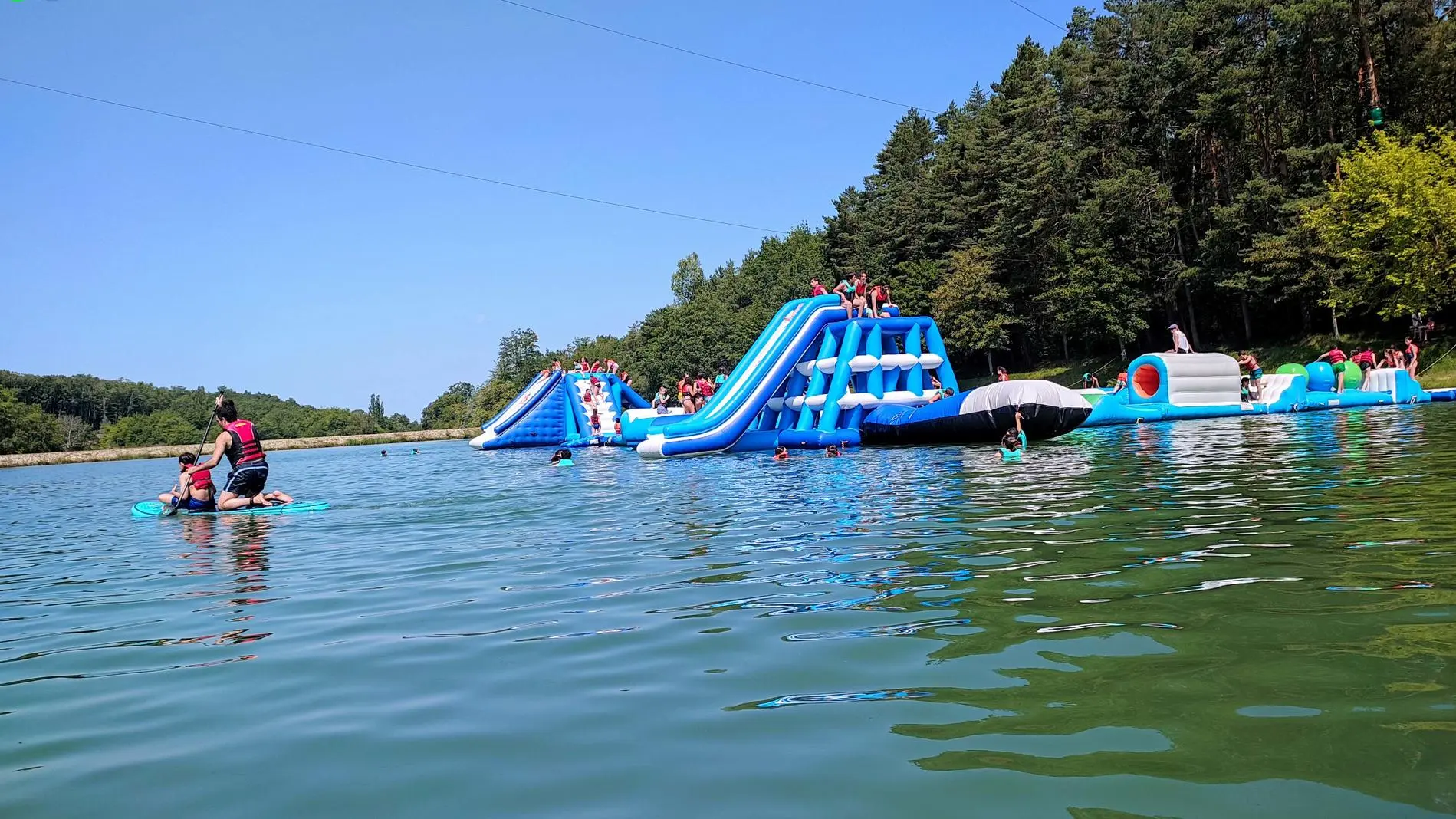 Aqua_Monkey_ (2)