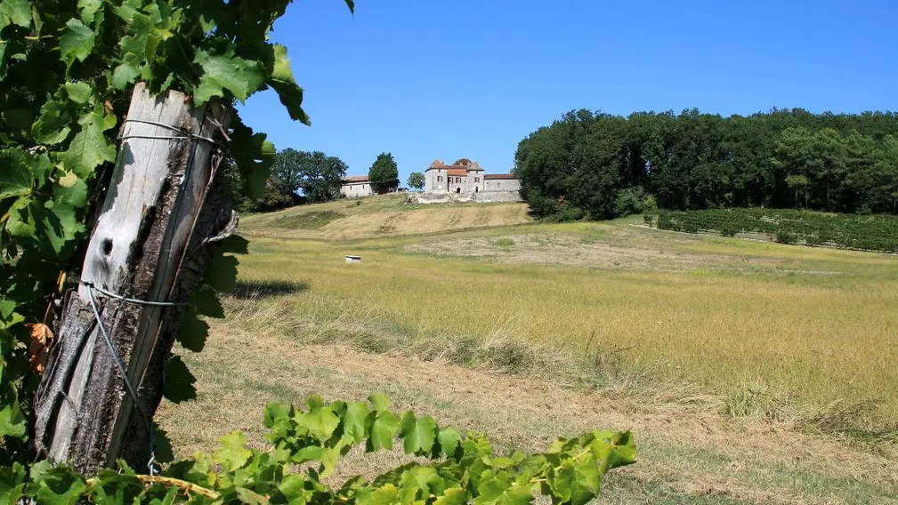 Autour de Monbazillac_Château Thenoux (60)_2