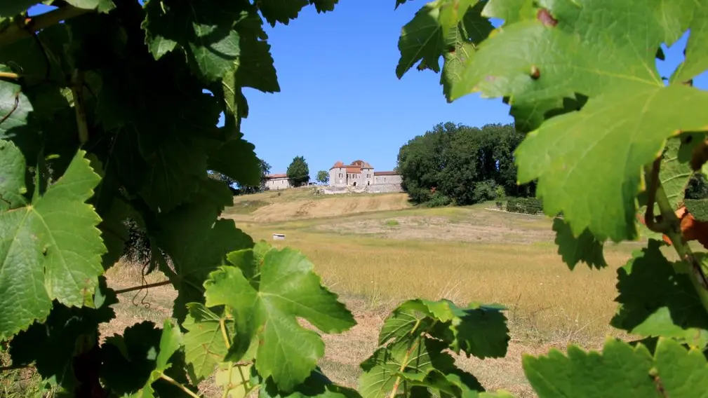 Autour de Monbazillac_Château Thenoux (63)_2