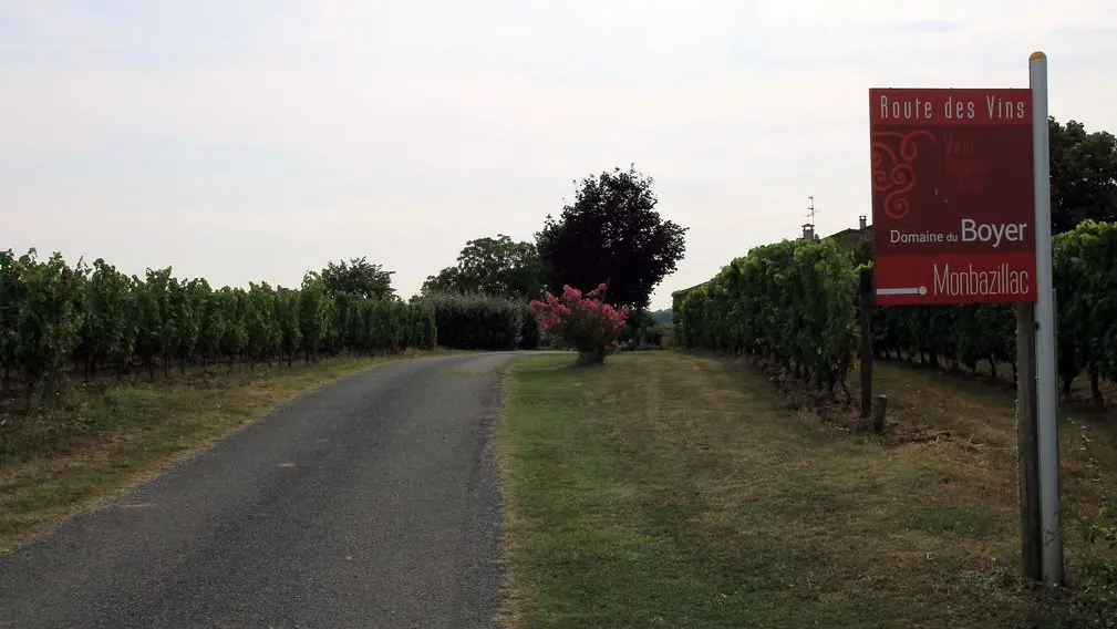 Autour de Monbazillac_Domaine du Boyer (18)_2