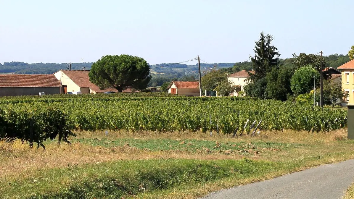 Autour de Saussignac_Château Les Ganfards (54)_2