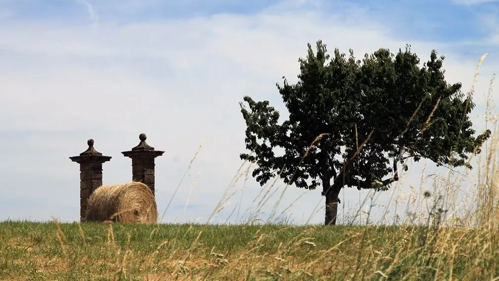 Autour de bergerac_Château La Renaudie (14)