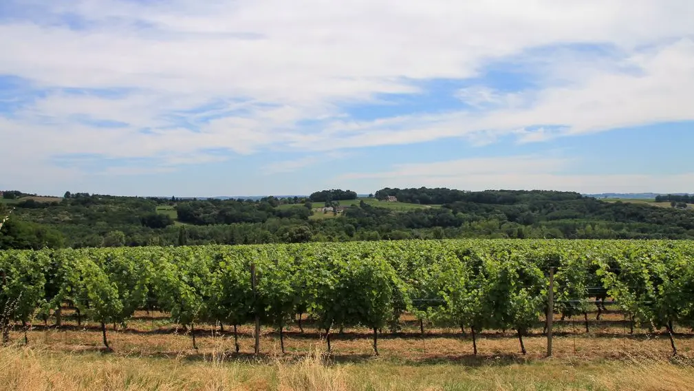 Autour de bergerac_Château La Renaudie (17)