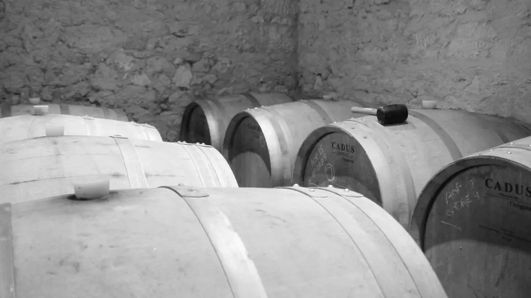 Autour de vélines_les trois saules (43)_2