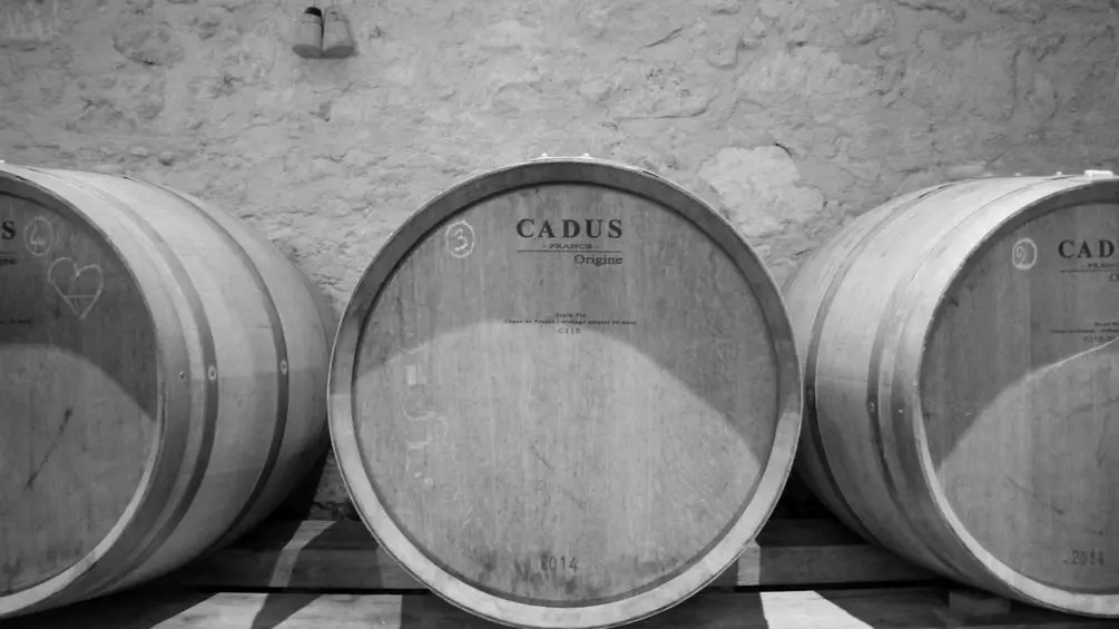 Autour de vélines_les trois saules (51)_2