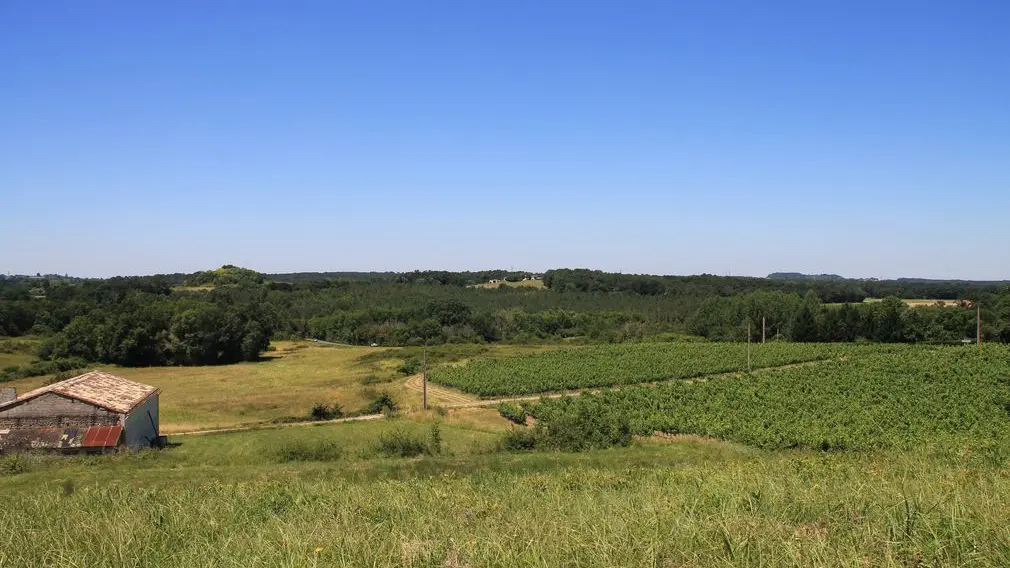 Autour de vélines_les trois saules (12)_2