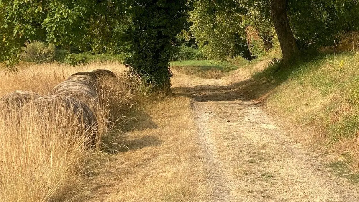 BEAURONNE-Boucle de Maine Moulin-chemin