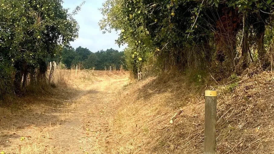 BEAURONNE-Boucle des Fontanelles-chemin-poteau