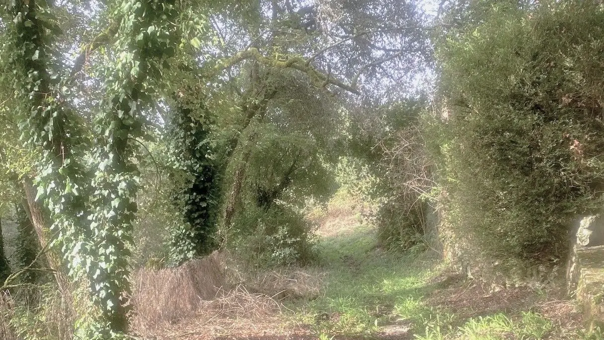 BEZENAC-Boucle de Bezenac-Chemin 2