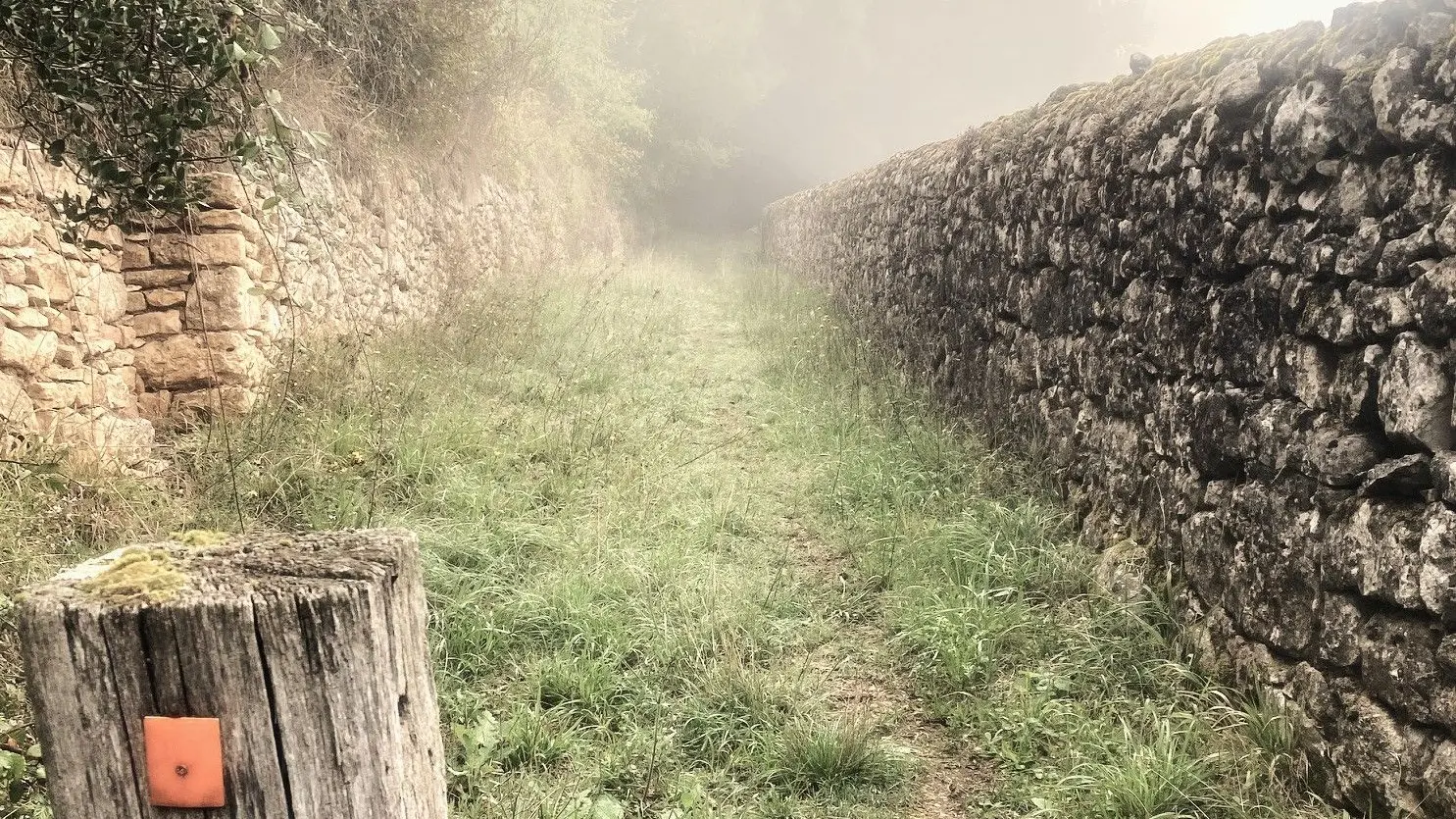 BEZENAC-Boucle de Bezenac-Chemin