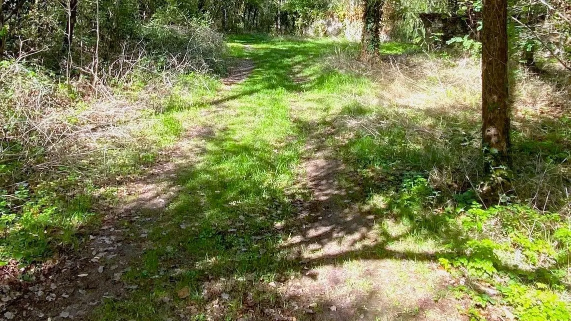 BOURDEILLES-Boucle de Bourdeilles-Chemin