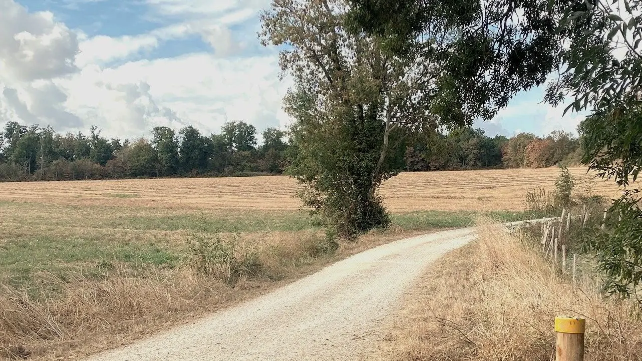 BOURG DU BOST-boucle de Bourg du Bost-Chemin-Poteau 2