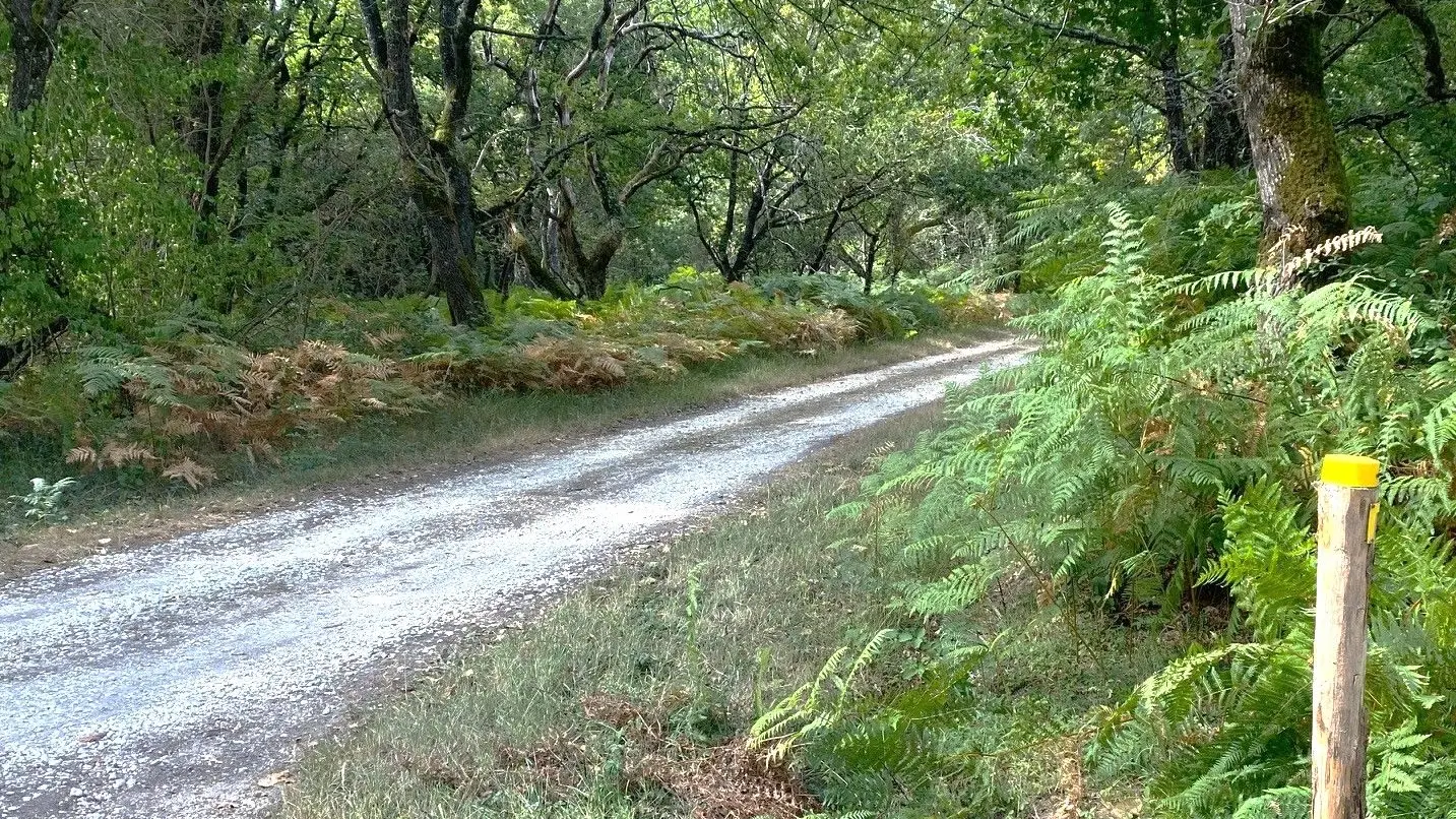 BOURG DU BOST-boucle de Bourg du Bost-Chemin-Poteau