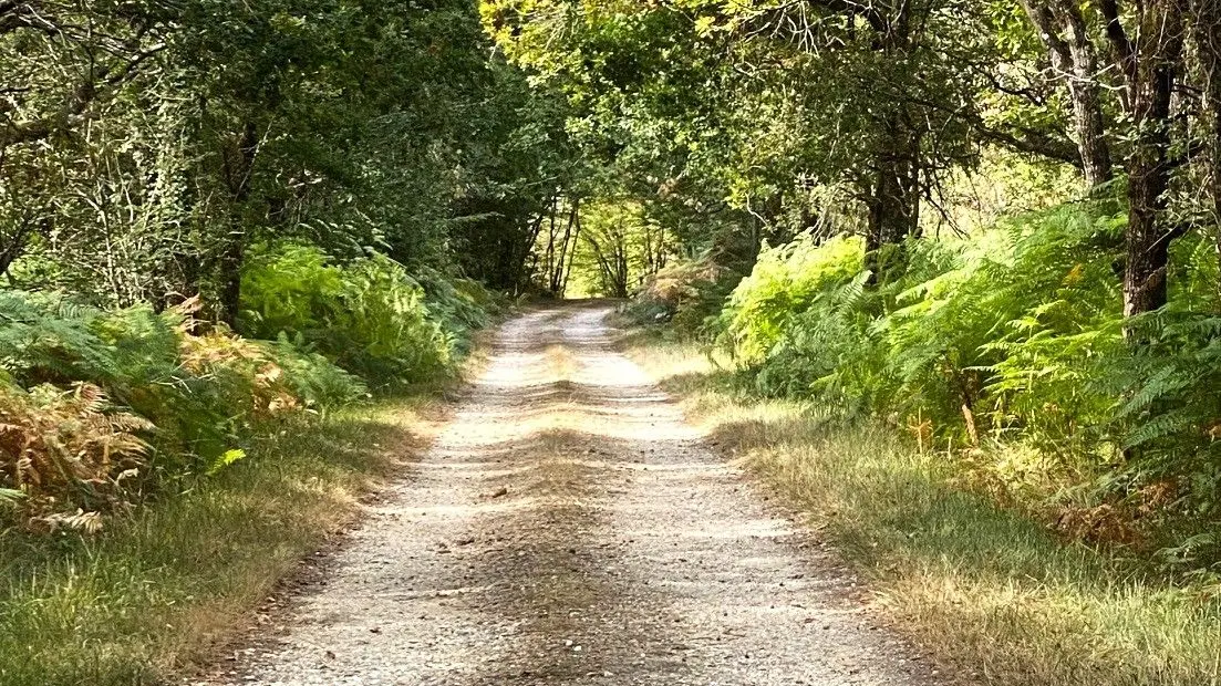 BOURG DU BOST-boucle de Bourg du Bost-Chemin