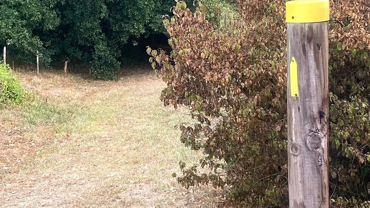 BOURROU-Land'Art-chemin-Poteau