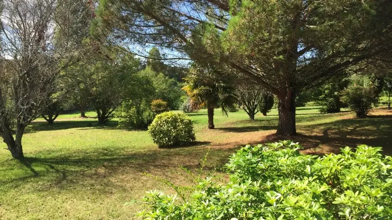 BOUVELLE (10)